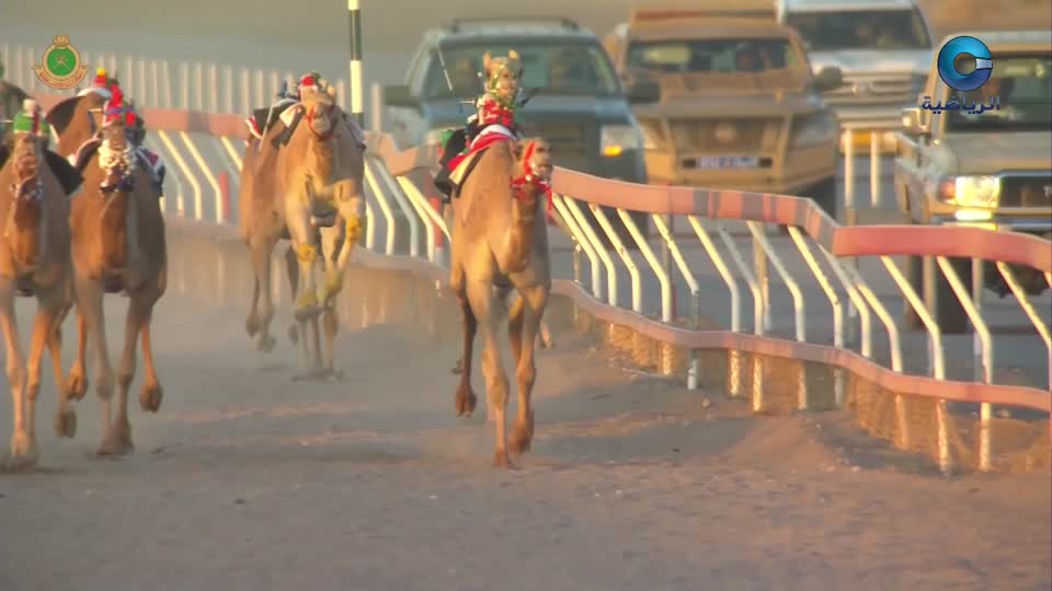 الشباب البحريني × مس كرمان الإيراني - البطولة الآسيوية الـ27 للأندية أبطال الدوري لكرة اليد 2024