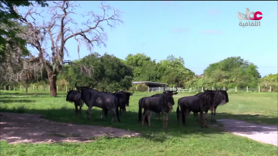 برنامج مكان و أثر