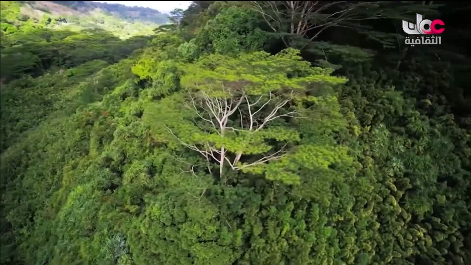 البرنامج الثقافي - أهل الأدب