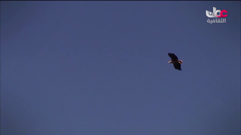 البرنامج الثقافي - المناخ والطبيعة - الحلقة 15