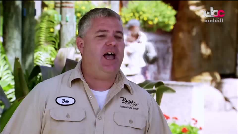 البرنامج الثقافي _ اطباء في الحياة البرية - الحلقة 24