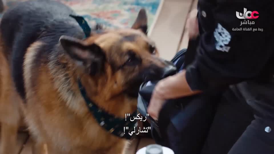 HUDSON AND REX - المسلسل الاجنبي - الحلقة 54