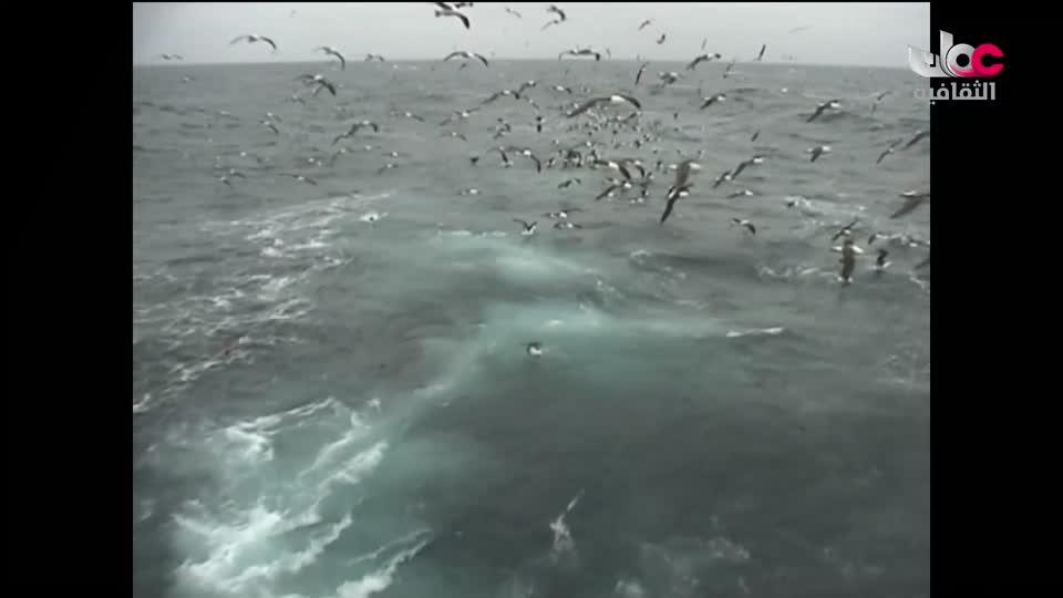 البرنامج الوثائقي - الأمن الغذائي - الحلقة 15