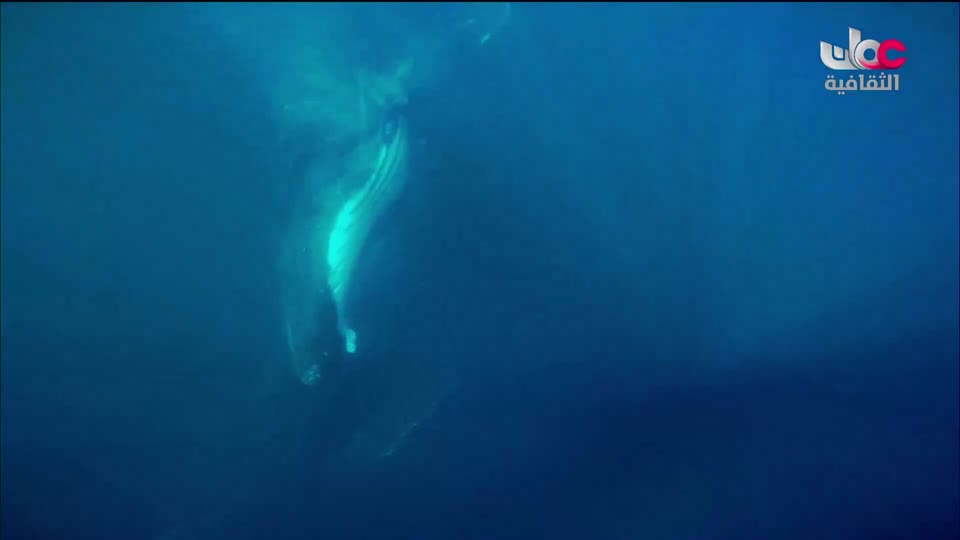 البرنامج الثقافي داخل العقل - الحلقة 5