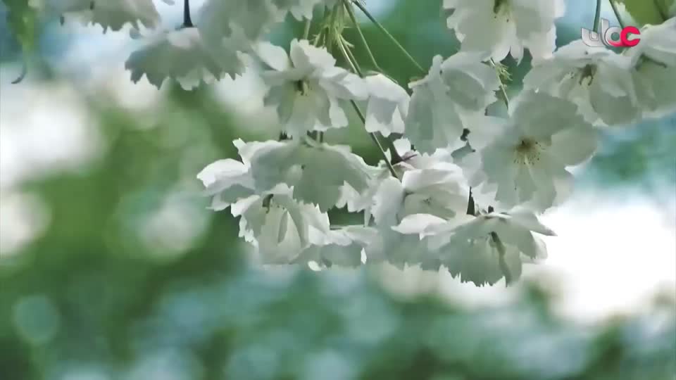 آذان العصـــــــر