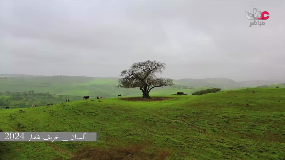 المسلسل المصري/ تقابل حبيب