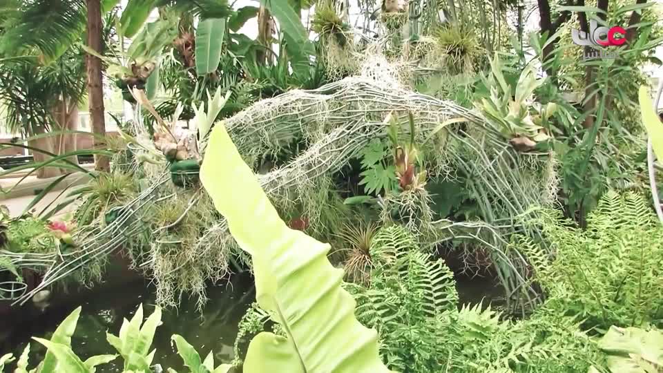 سمرة عيده - الحلقة 30