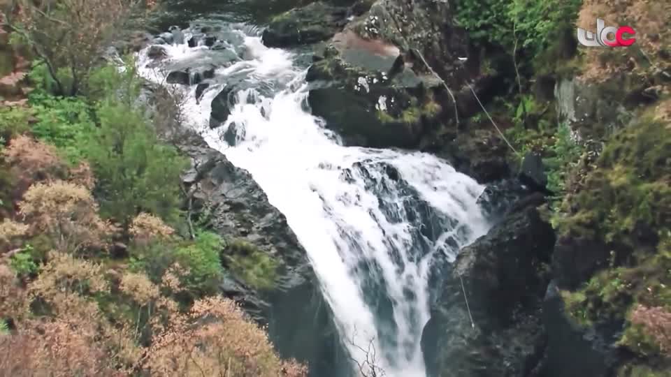 البرنامج الثقافي / ماذا تعرف عن