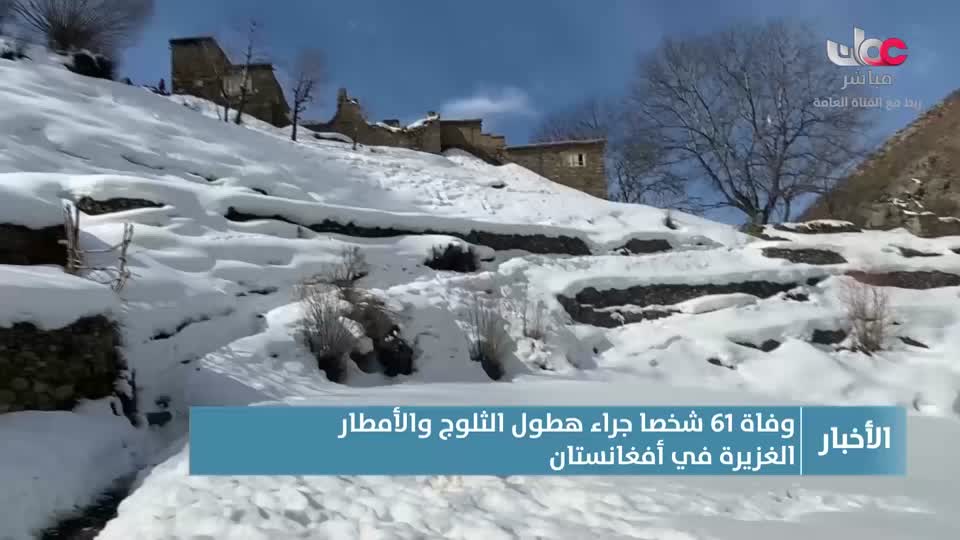 نشرة الواحدة