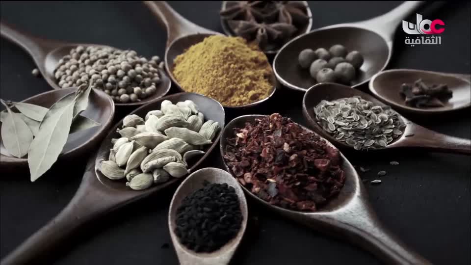 البرنامج الثقافي أرض ونار - تطور فن الطبخ - الحلقة 25