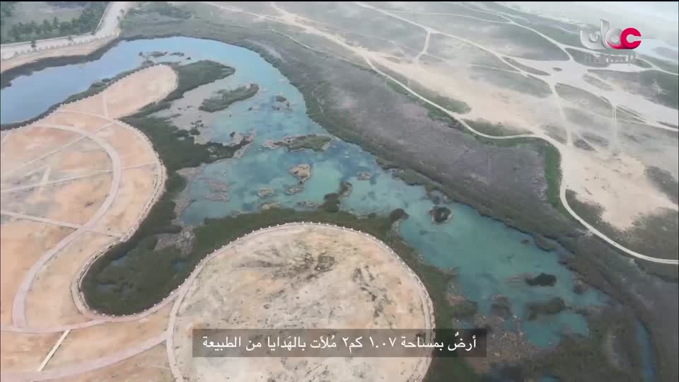 البرنامج الثقافي - عيون البيئة