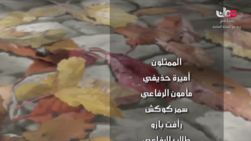 المسلسل الكرتوني - الاليون الصغار - الحلقة 59