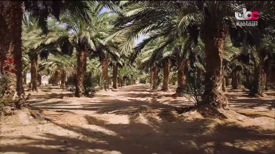 برنامج - كنوز الصحراء - الحلقة 19