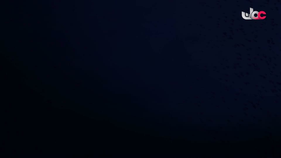 المسلسل الورقي/الاليون الصغار