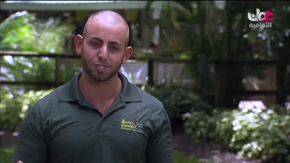 برنامج _ اعلام الشعر العربي - الحلقة 27