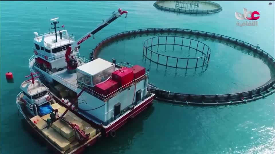 البرنامج الثقافي - أجمل ثمانون جزيرة في العالم