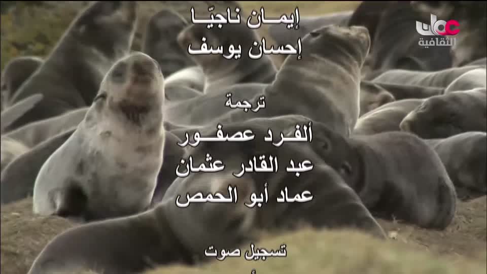 البرنامج الثقافي _ اطباء في الحياة البرية - الحلقة 27