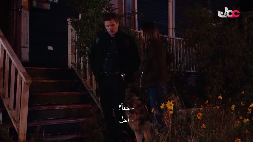 المسلسل الاجنبي