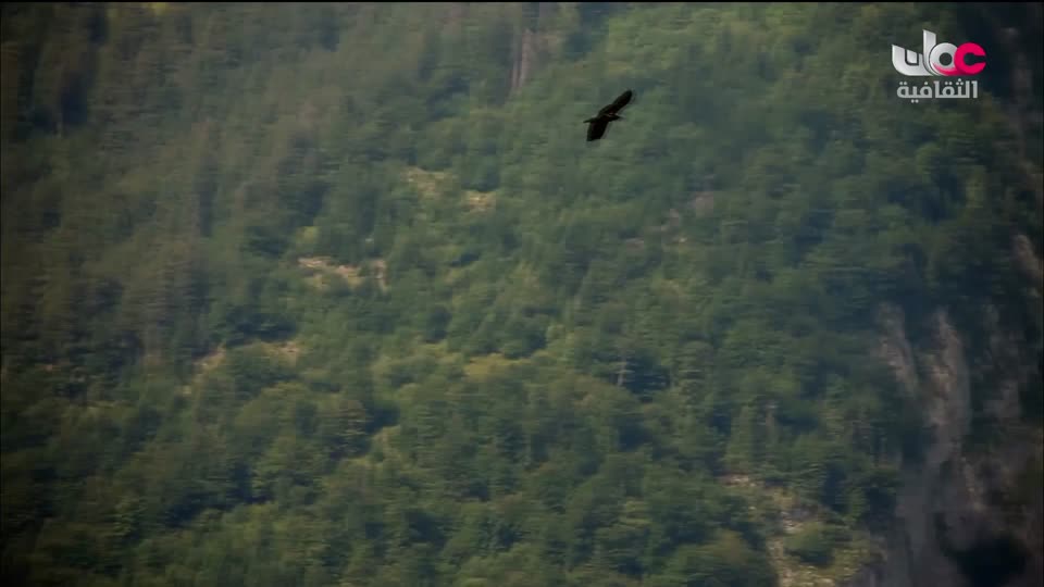 البرنامج الوثائقي - الأمن الغذائي - الحلقة 17