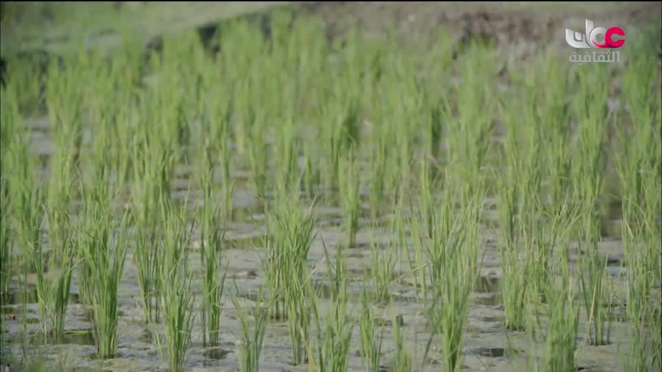 برنامج - رحلات ممتعة - الحلقة 11