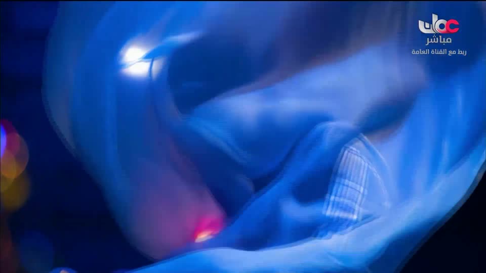 محاسن الأسلام