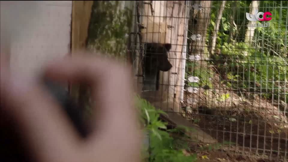 البرنامج الوثائقي - الأمن الغذائي - الحلقة 18