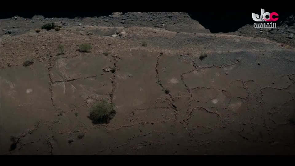 البرنامج الثقافي - أسرار الدماغ ج2