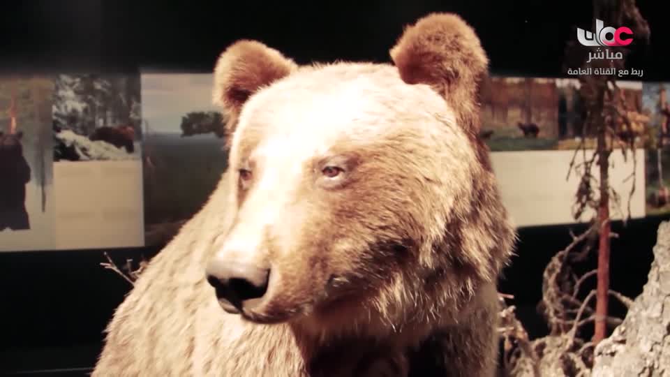 آذان العصـــــــر