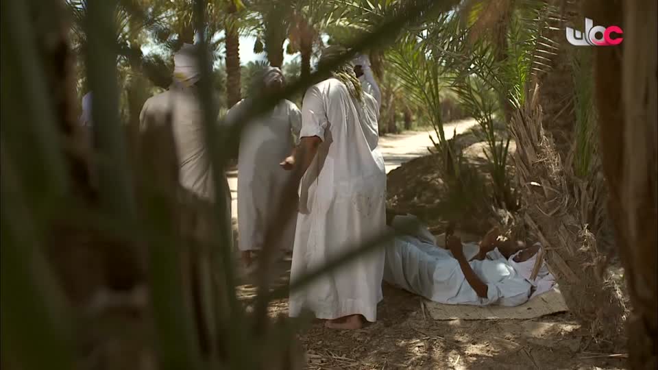 برنامج/الهندسة المعمارية