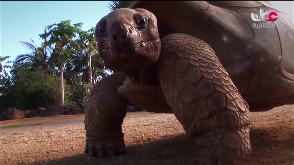 البرنامج الثقافي - المناخ والطبيعة - الحلقة 20