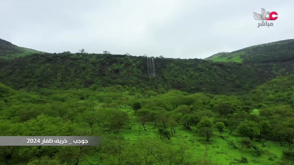 نشرة أخبار العاشرة