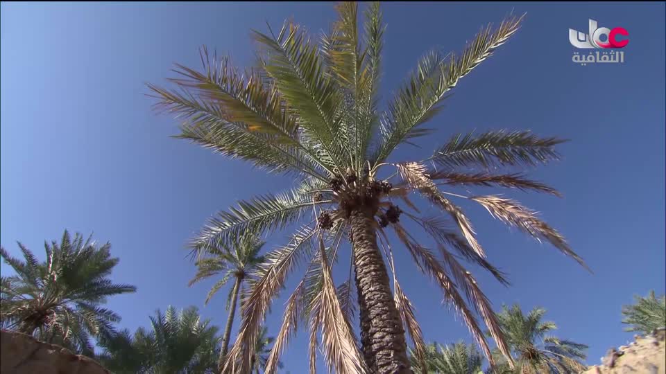 برنامج مكان و أثر