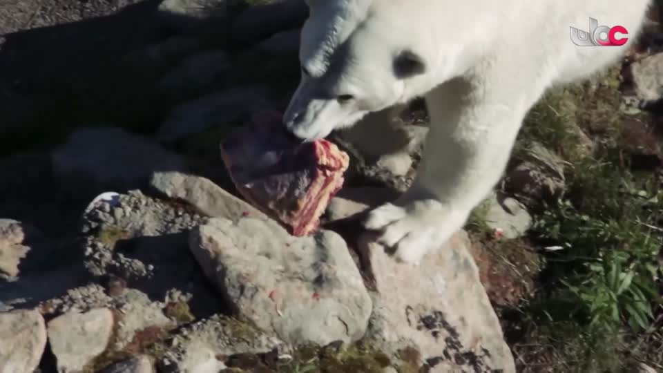 آذان العصـــــــر