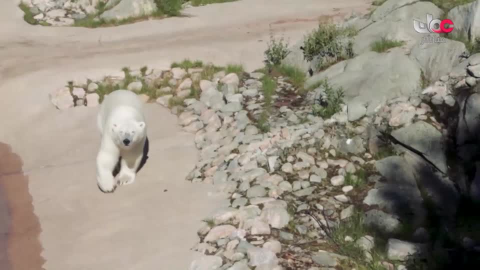 آذان العصـــــــر