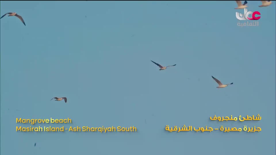 فيلم - على ضفاف الجمال - الحلقة 1