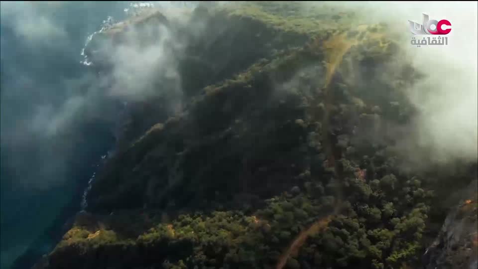 البرنامج الثقافي داخل العقل - الحلقة 9