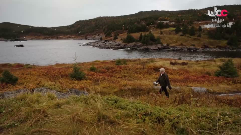 البرنامج الثقافي / ماذا تعرف عن