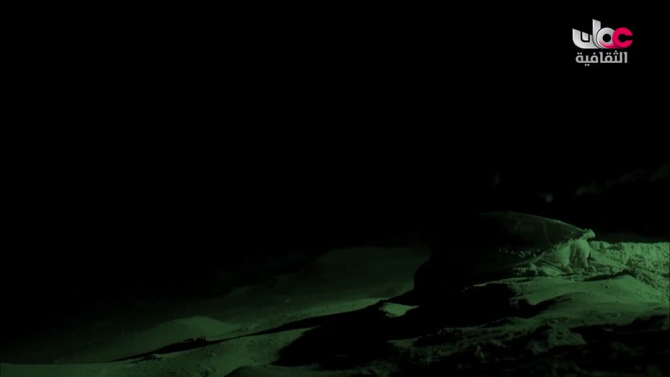 البرنامج الثقافي - غرائب البحار - الحلقة 5