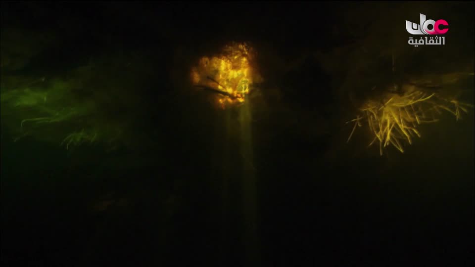 البرنامج الوثائقي - الأمن الغذائي - الحلقة 19