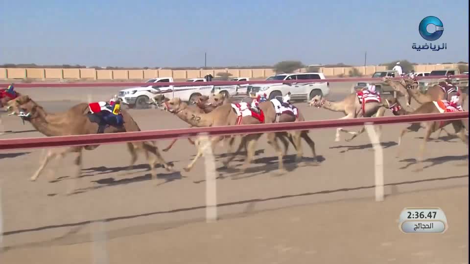 السباق السنوي للإتحاد العماني للهجن - الفليج 2026 - الحلقة 2