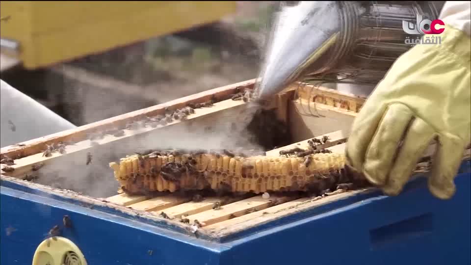 البرنامج الثقافي - أجمل ثمانون جزيرة في العالم