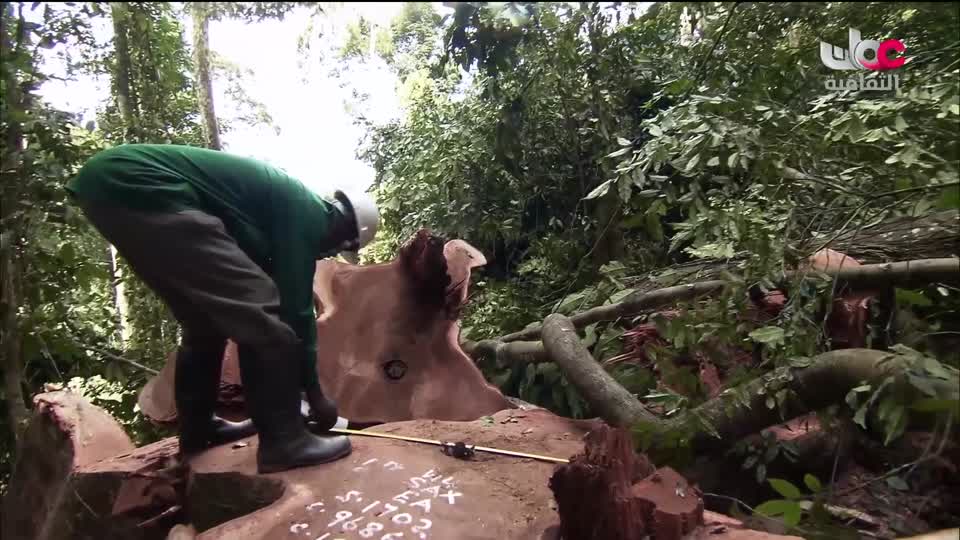 البرنامج الثقافي - الصراع من أجل البقاء