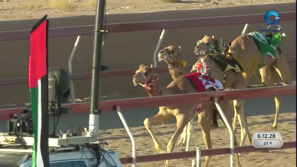 السباق السنوي للإتحاد العماني للهجن - الفليج 2026 - الحلقة 1