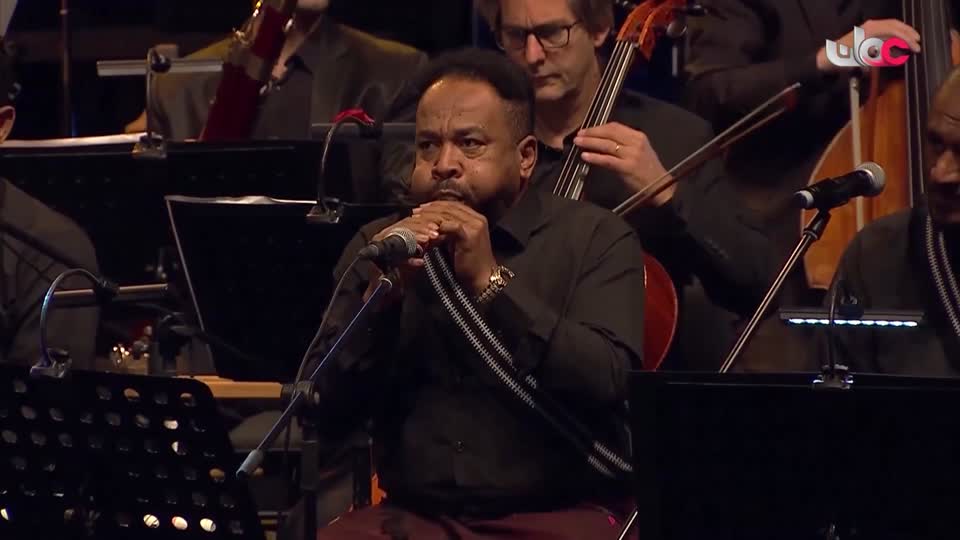 حفلات غنائية