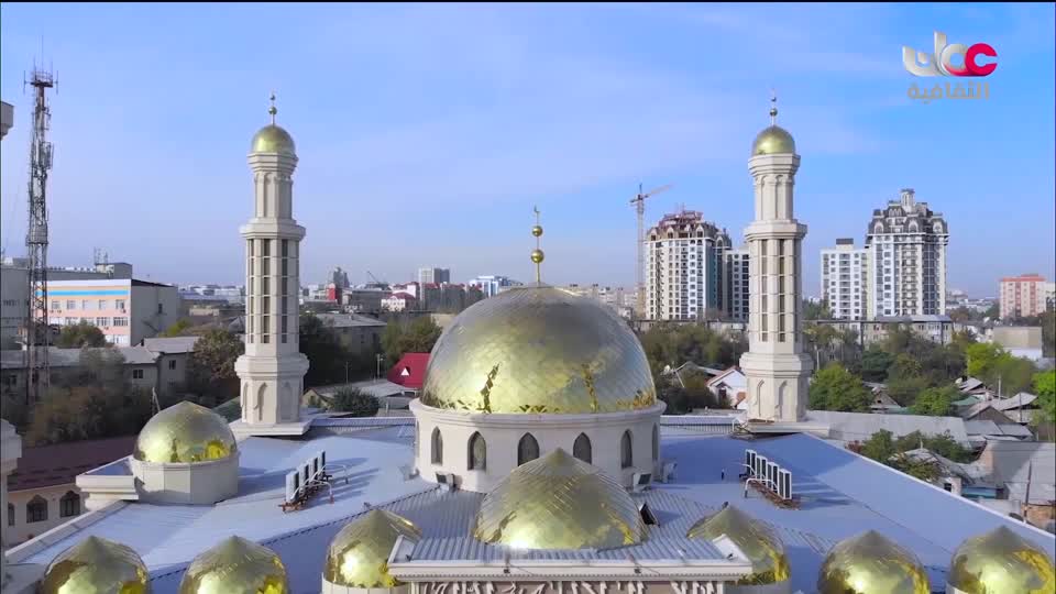 البرنامج الثقافي _ اطباء في الحياة البرية - الحلقة 30