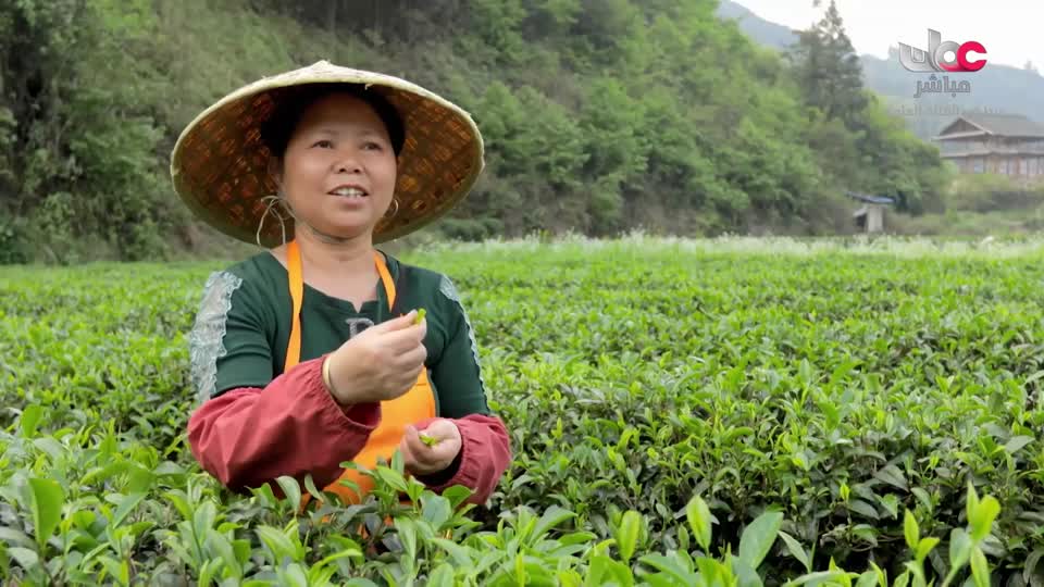 الهندسة المعمارية