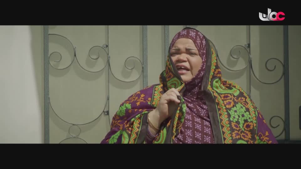 المسلسل المصري/ تقابل حبيب