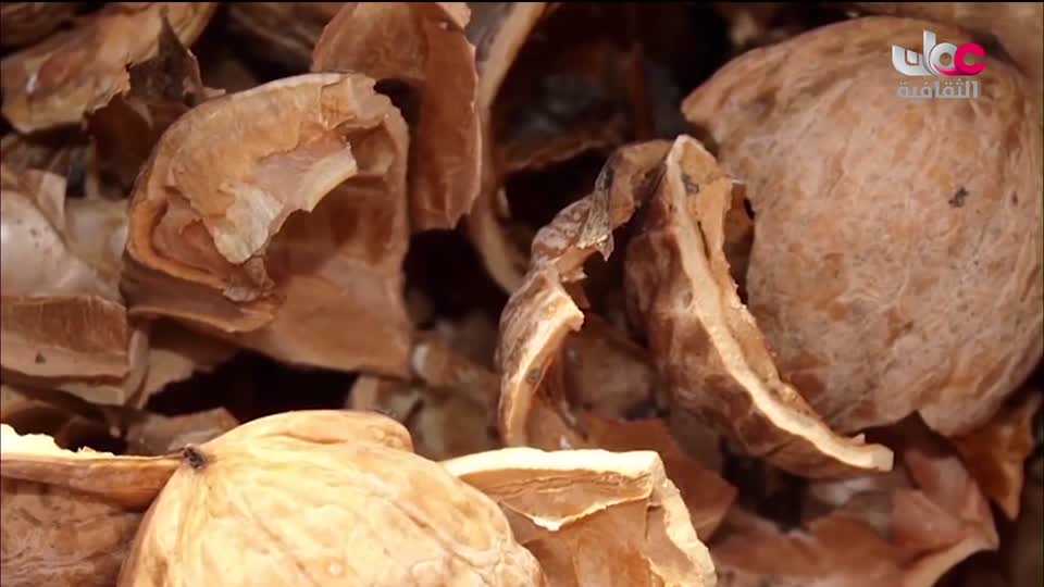 البرنامج الثقافي - عالم الأشجار