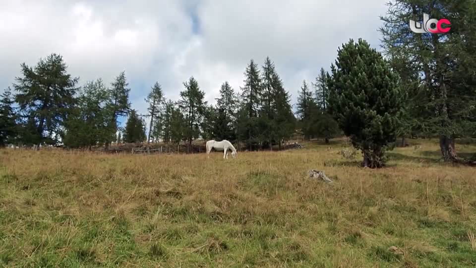 آذان العصـــــــر