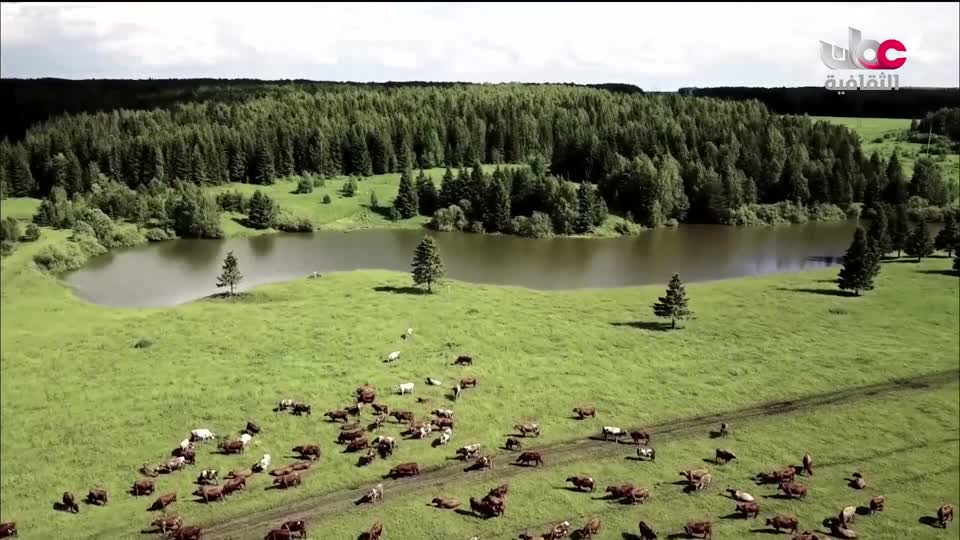 البرنامج الثقافي أرض ونار - تطور فن الطبخ - الحلقة 1